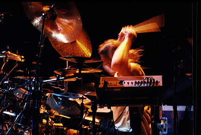 Danny Carey 4.jpg